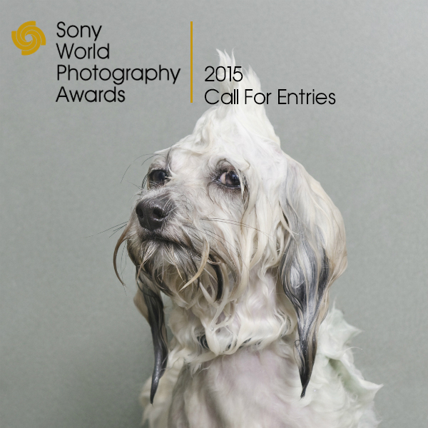 Sony photography awards butterboom1