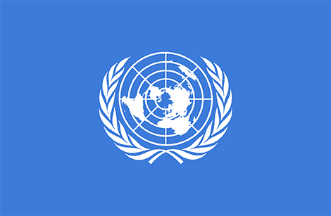 United nations flag копия